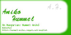 aniko hummel business card